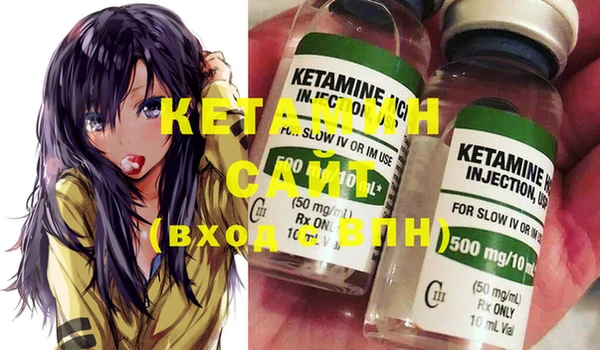 крисы Няндома