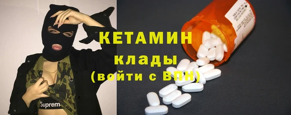 крисы Няндома