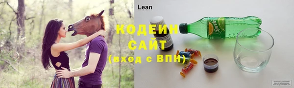 крисы Няндома