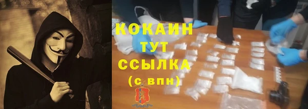 крисы Няндома