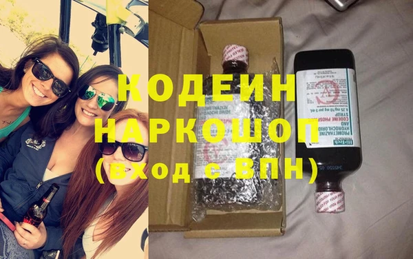 крисы Няндома