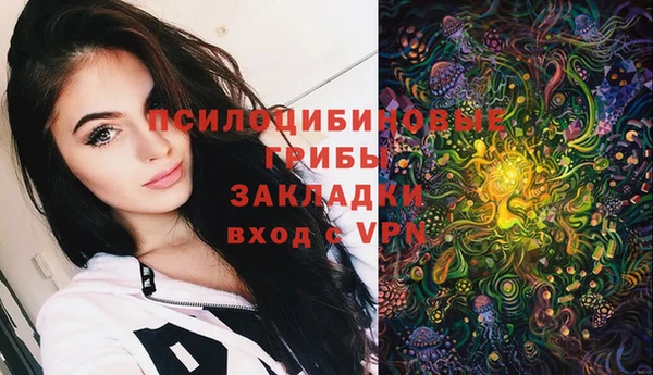 крисы Няндома