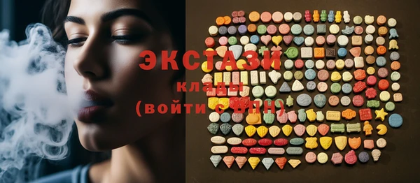 крисы Няндома