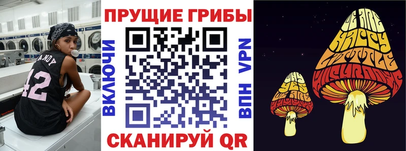 купить закладку  blacksprut ссылки  Псилоцибиновые грибы MAGIC MUSHROOMS  Энем 